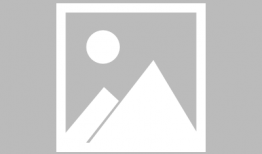 枫樱漫画,描绘青春校园的浪漫画卷